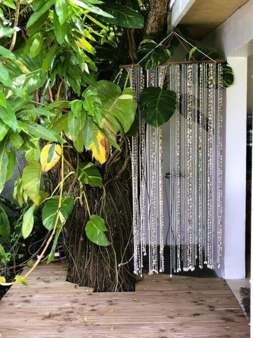 Bungalow Tiarii, Avec Acces Direct A Une Plage Privee Tevaitoa 外观 照片