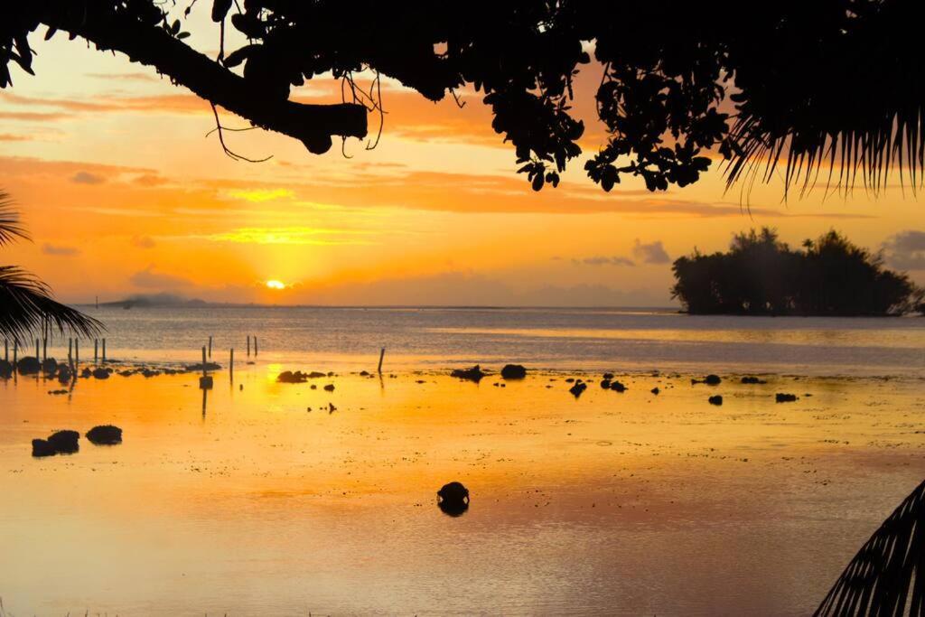 Bungalow Tiarii, Avec Acces Direct A Une Plage Privee Tevaitoa 外观 照片